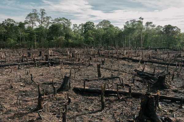 Deforestation in Aravalli range